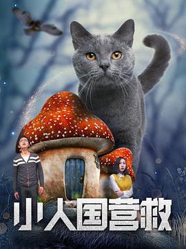 91九色视频在线观看