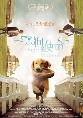 丁香六月婷婷激情