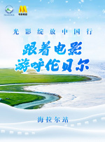 3dnagoonimation在线