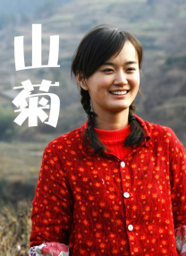 又黄又免费