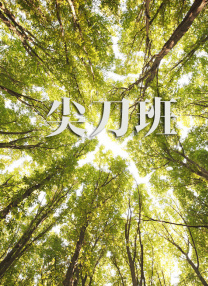 宝莉