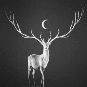 阳明